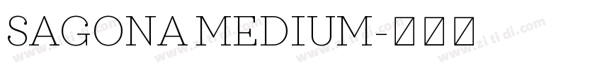 SAGONA MEDIUM字体转换